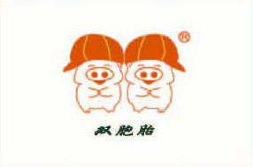 贵州编织袋客户双胞胎