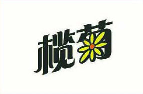 贵州编织袋榄菊